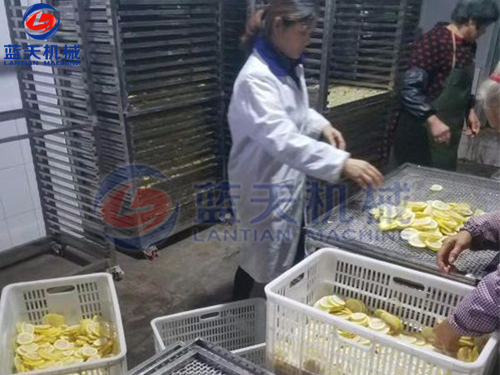 云南水果烘干機(jī)用戶現(xiàn)場