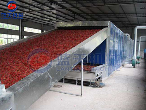 貴州帶式辣椒烘干機(jī)用戶(hù)現(xiàn)場(chǎng)