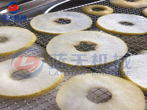 廣西水果烘干機(jī)用戶(hù)現(xiàn)場(chǎng)